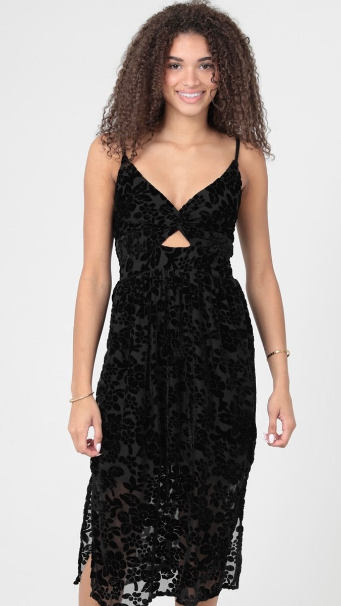 Velvet Burnout Dress Black