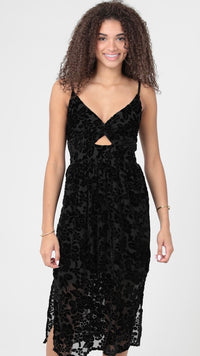 Velvet Burnout Dress Black