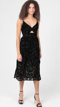 Velvet Burnout Dress Black