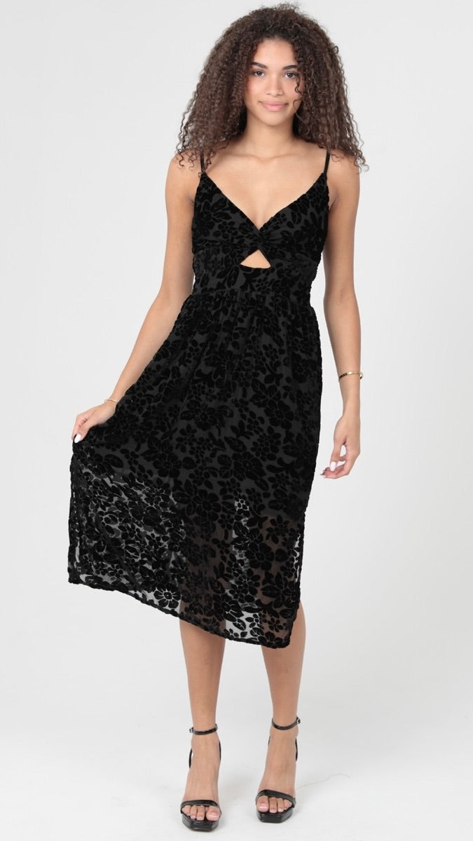 Velvet Burnout Dress Black