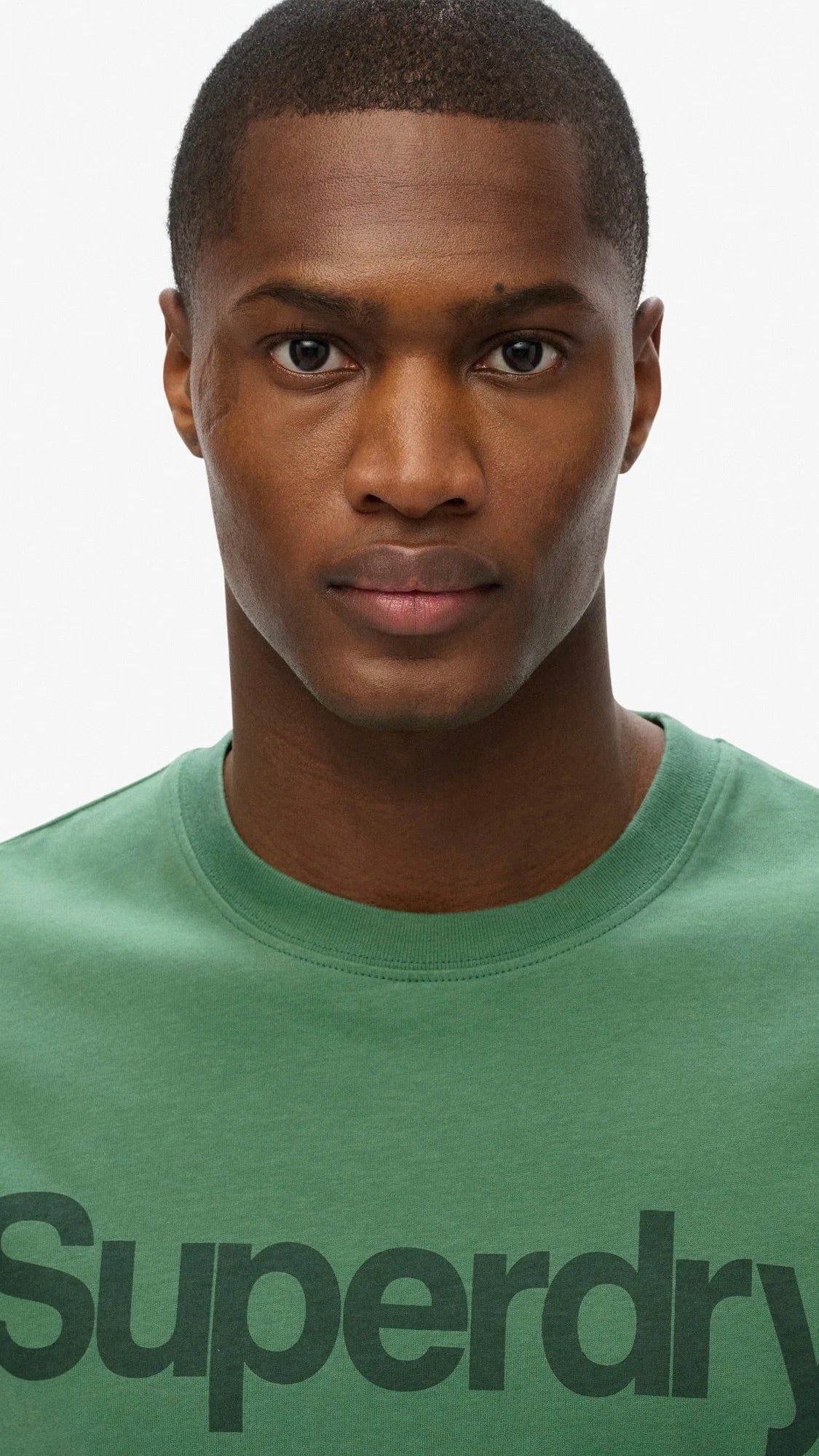 Superdry Core Logo Classic Tee Pine