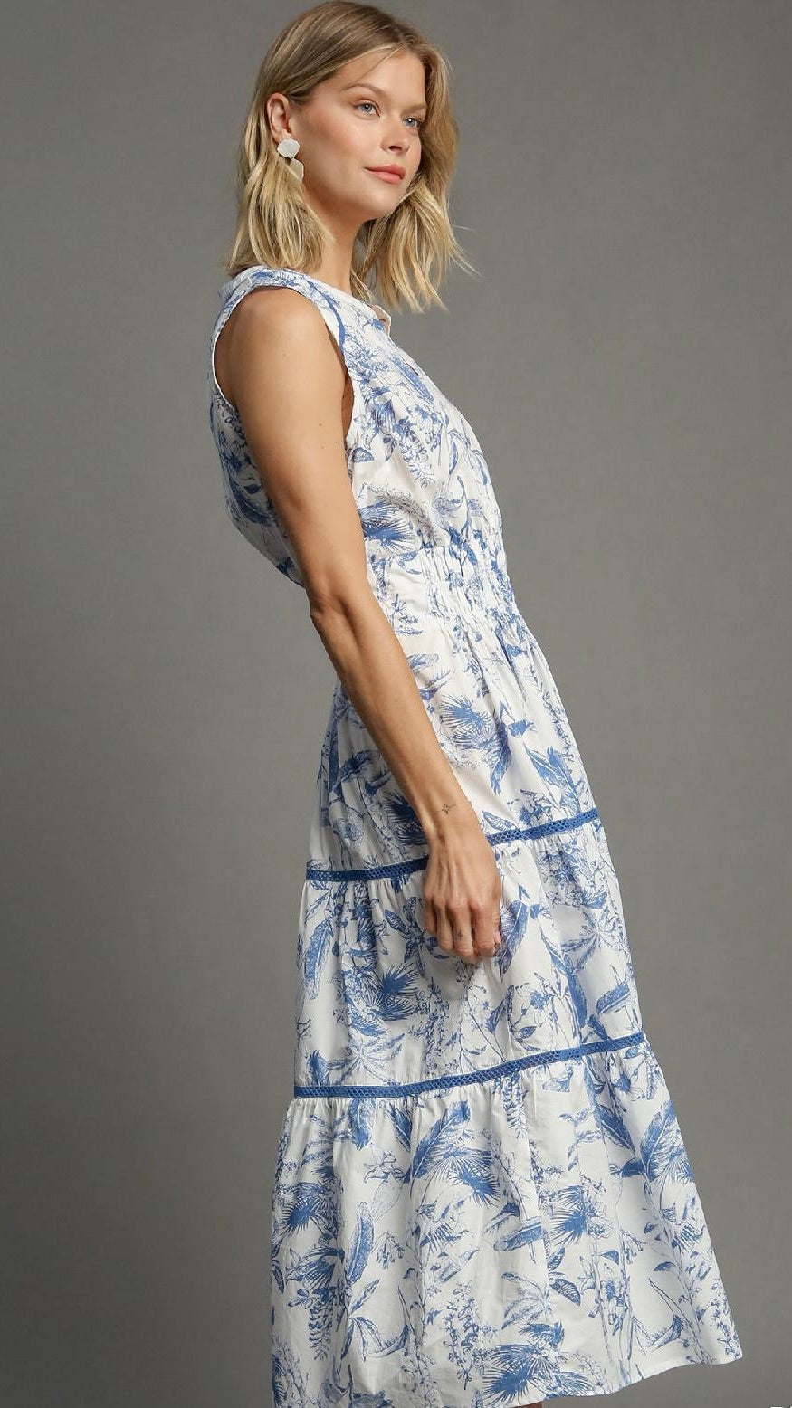 Luca Landscape Print Dress Blue