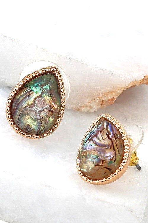 UBS019 Abalone